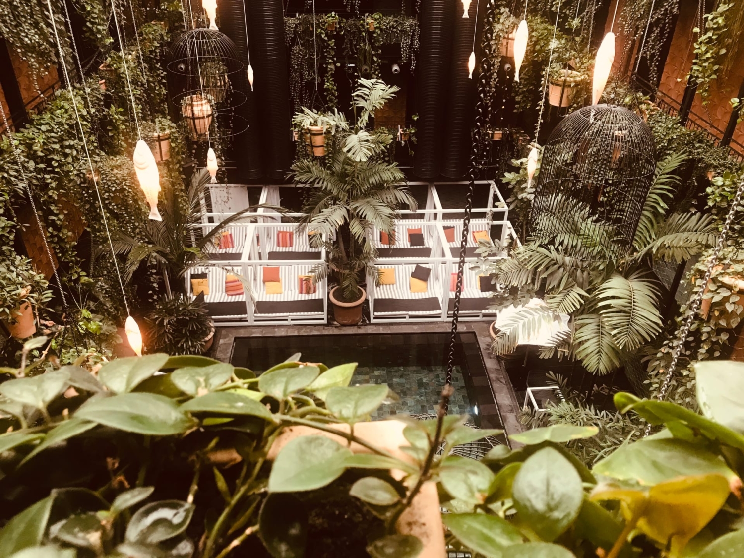 Curated visual reference: Manon Les Suites Copenhagen Reviews Urban Jungle Experience Photo Inspiration